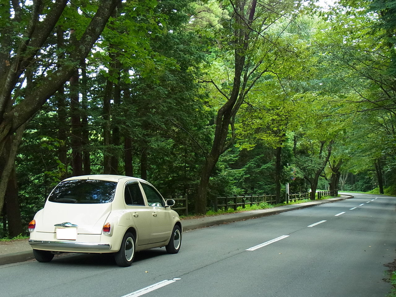 定休日のご案内 ブログ マーチ ミニスター マーチ ハービーなどレトロでかわいいお洒落な国産オリジナルカー専門店 Goodwoodpark 愛知県