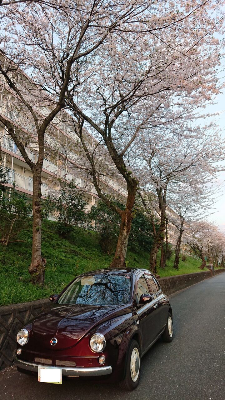 印刷 レトロ 車 内装 可愛くしたい ただの車