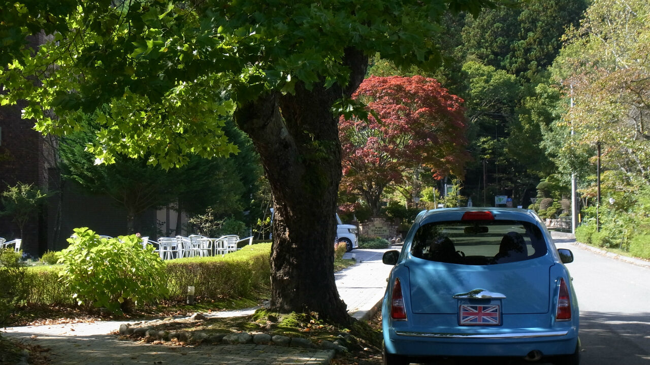 光岡ビュート コペルボニート マーチプリンセスやマーチハービーなどレトロでお洒落でかわいいカスタムカーの中古車専門店 Goodwoodpark