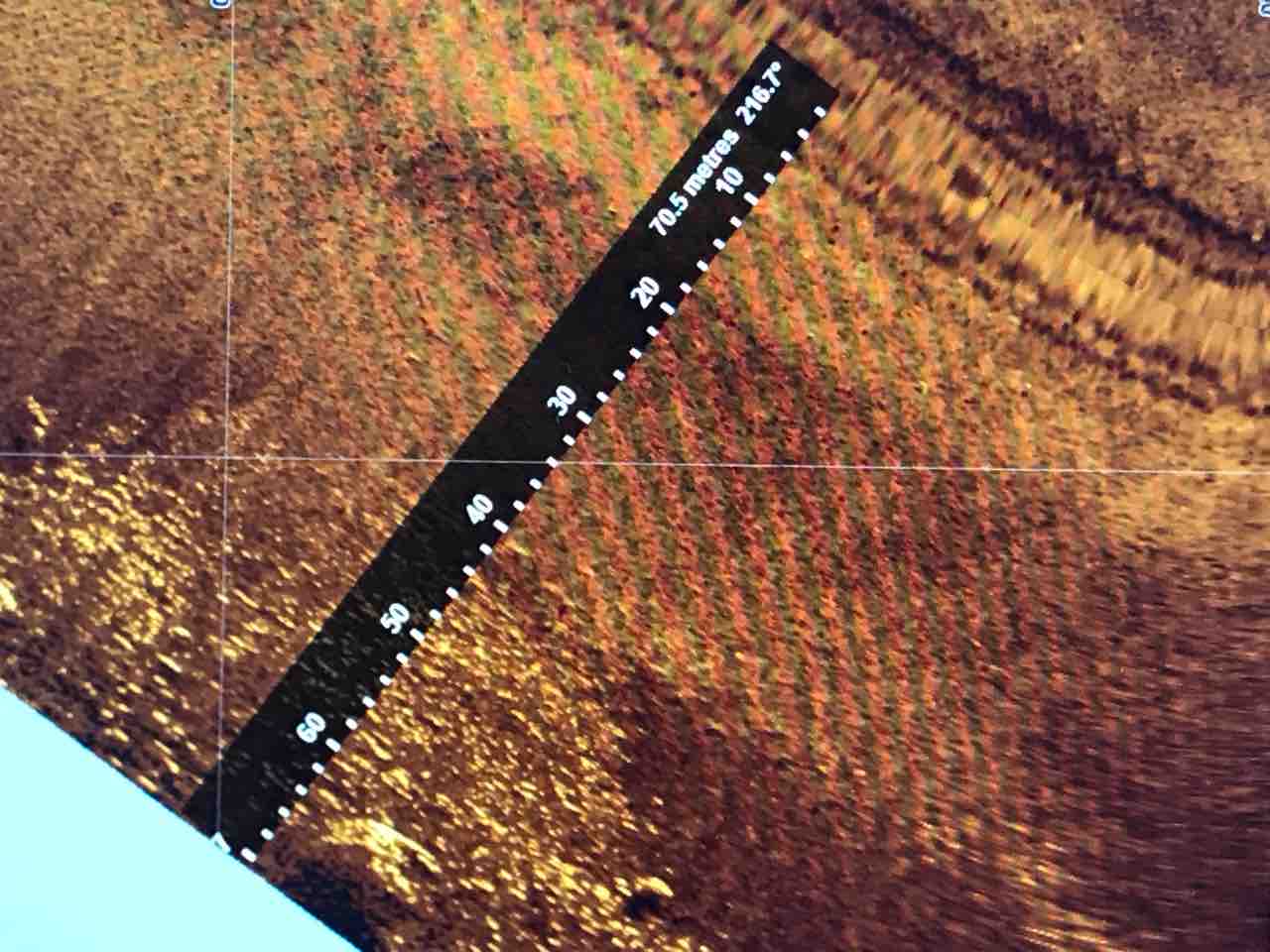 ほほぅ あしブロ2