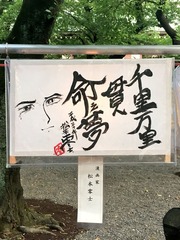 Y8rNZSG