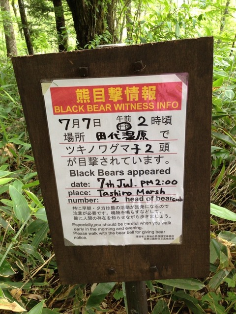 画像17