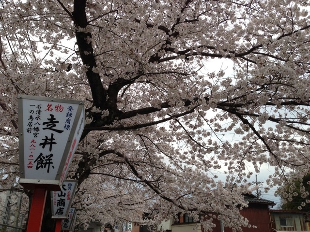 画像9