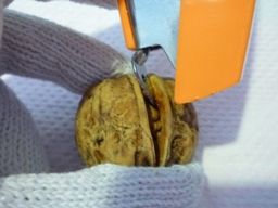 022714 ���َ�3