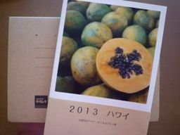012813 photobon