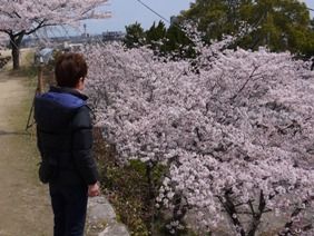 城跡3