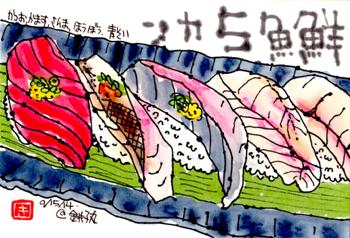 091514 銚子丸鮮魚5