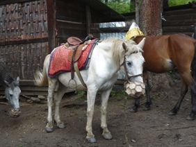 a ��������1