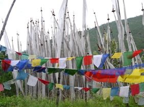 c ���Ў׎���1