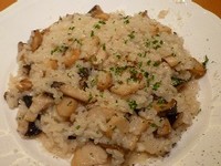 090309 �����؎��ގ���