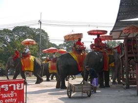 122713 ���ގ�1