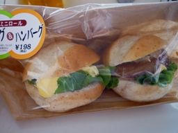 042411 ���ݎ���