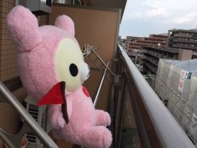 072515 コリラ
