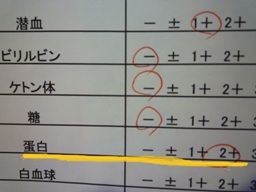 040313 検査1