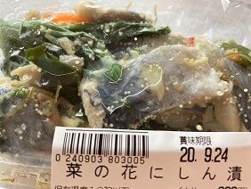091520 ニシン