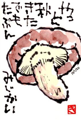 100120 椎茸