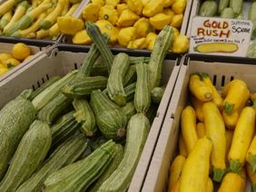 0601 �̎��؎��ˎގ�5