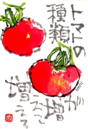 052721 トマト