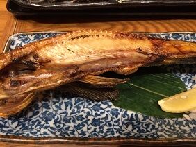 010520 ����6