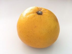 051118 ������