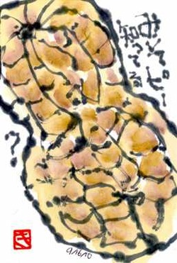 091610 �����