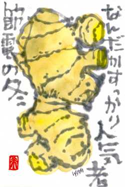 113011 生姜
