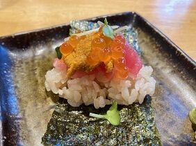 042824 sugi3