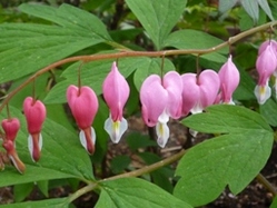 042110 �ܤ���5