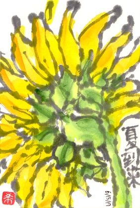 061517 ひまわり