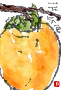 101910 柿