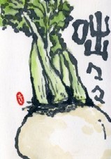 042208 絵手紙かぶ