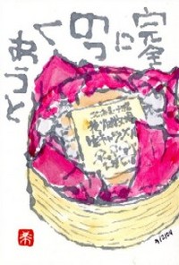 040309 ����������������