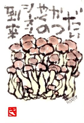 17 しめじ