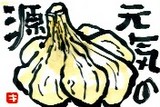 081607 絵手紙にんにく