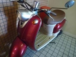 091710 ビーノ