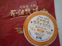 060409 ��Ȫ�������׎Ҏ�