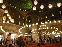 111509 �ӎ���2