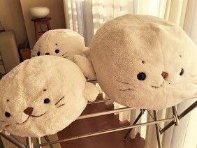 113019 しろ