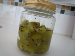 050610 �����������ގ���