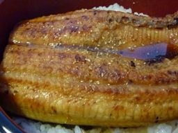 080314 ���Ŏ���