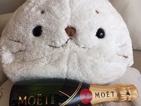 041819 moe