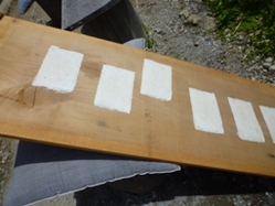 050910 �����6