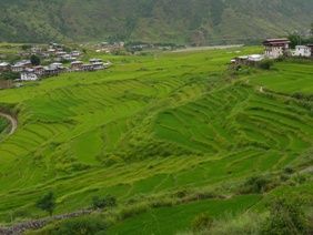 b �Ďގ�����8