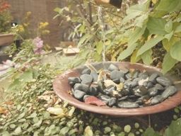 112912 ���ʎߎ������̎�2