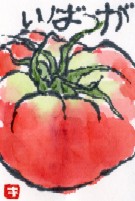 090407 絵手紙トマトがばい