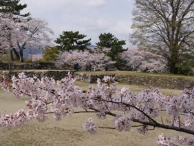 城跡2