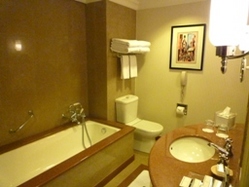 112009 ���ݎ׎��Ď�2