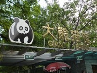 062709 �ʎߎݎ���1