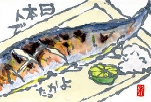 101108 絵手紙サンマ