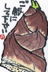 ³¨¼ê»æ¤¿¤±¤Î¤³